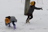 IMG_3747